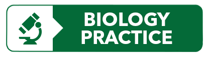 Biology Practice